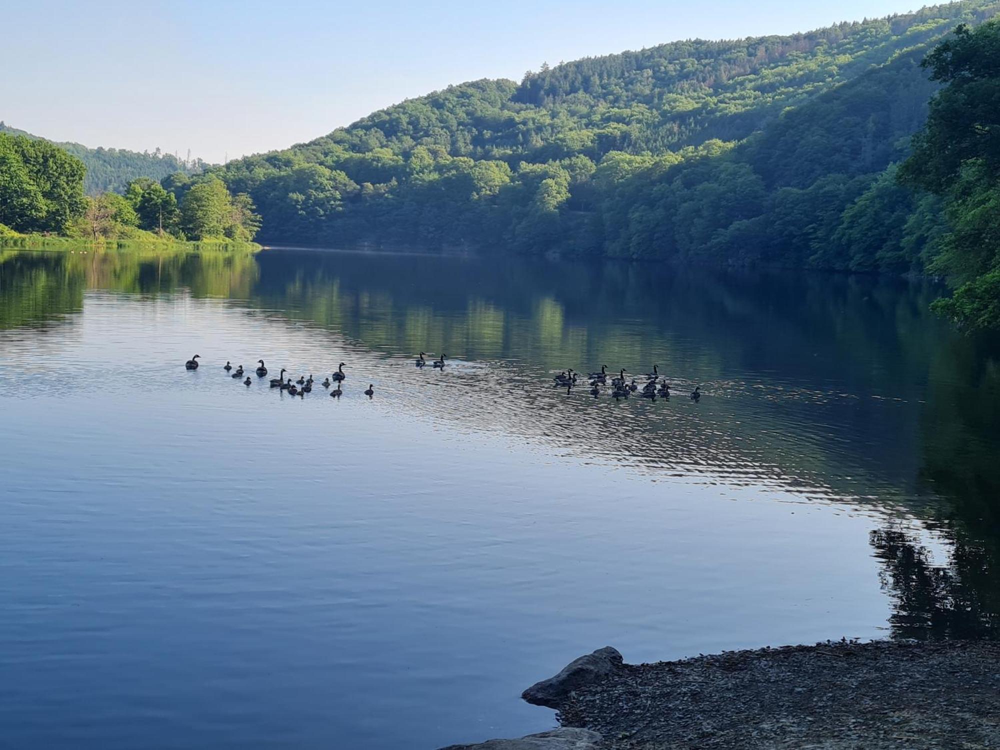 Ferienwohnung Am Rursee -Wohnung 2 Зиммерат Номер фото
