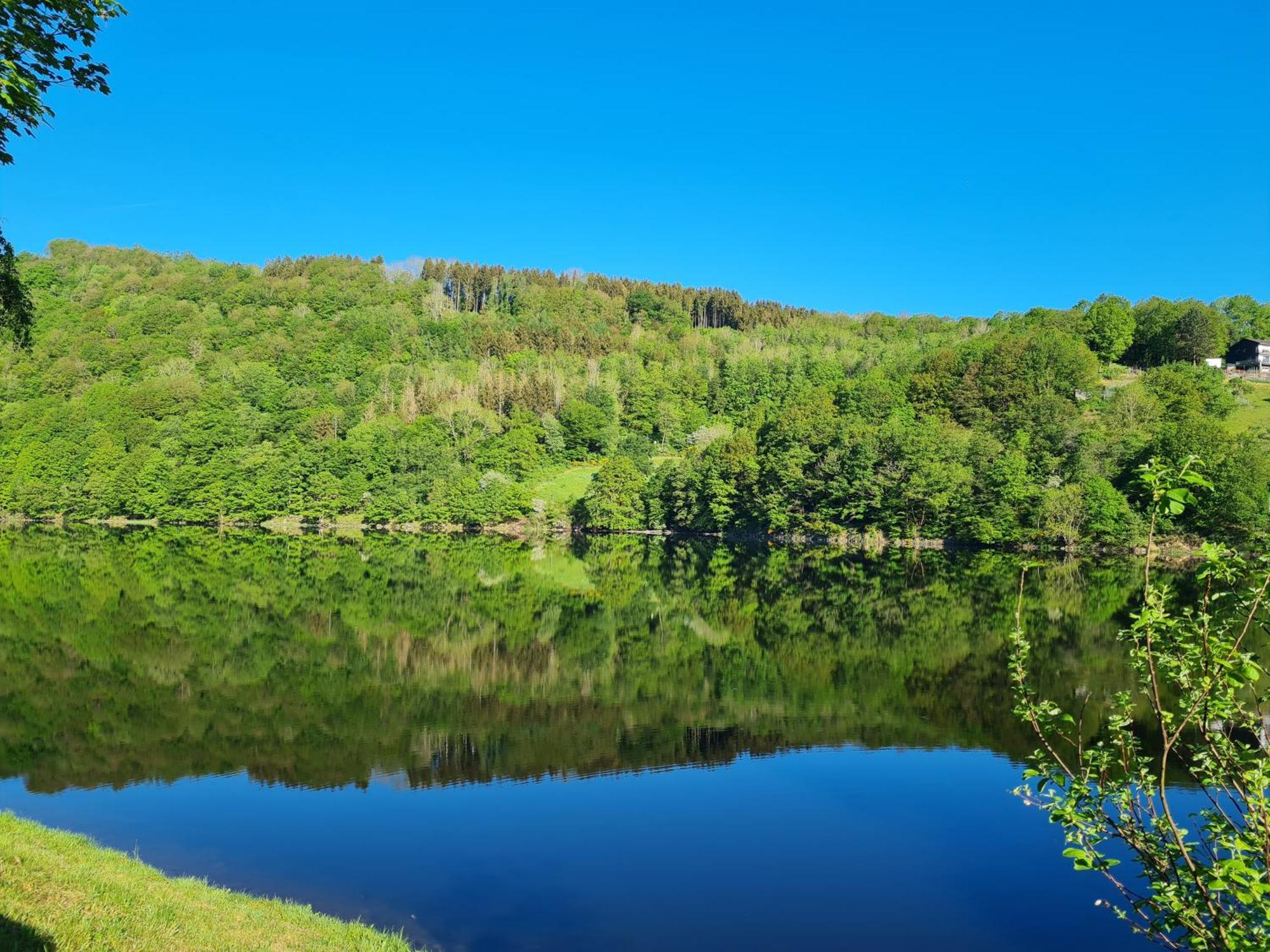 Ferienwohnung Am Rursee -Wohnung 2 Зиммерат Экстерьер фото